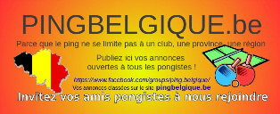 pingbelgiquebe
